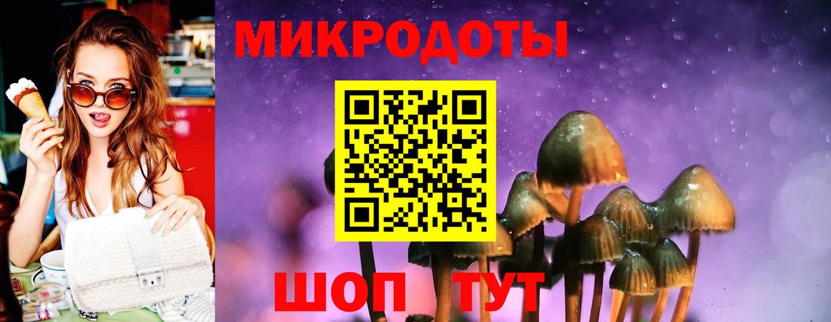 Тихвин  Псилоцибиновые грибы Magic Shrooms  Вход с VPN  Галлюциногенные грибы Cubensis 